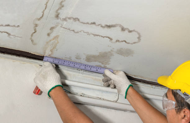Reliable Basement Flood Cleanup contractor in Woodridge, IL by Aqua Guard Water Damage